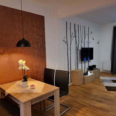 מגדבורג Trendige Stadtwohnung, Historisches Haus Mit Terrasse Und Garten מראה חיצוני תמונה